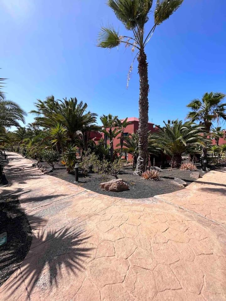 Sun & Sea Apartment In קורלחו מראה חיצוני תמונה