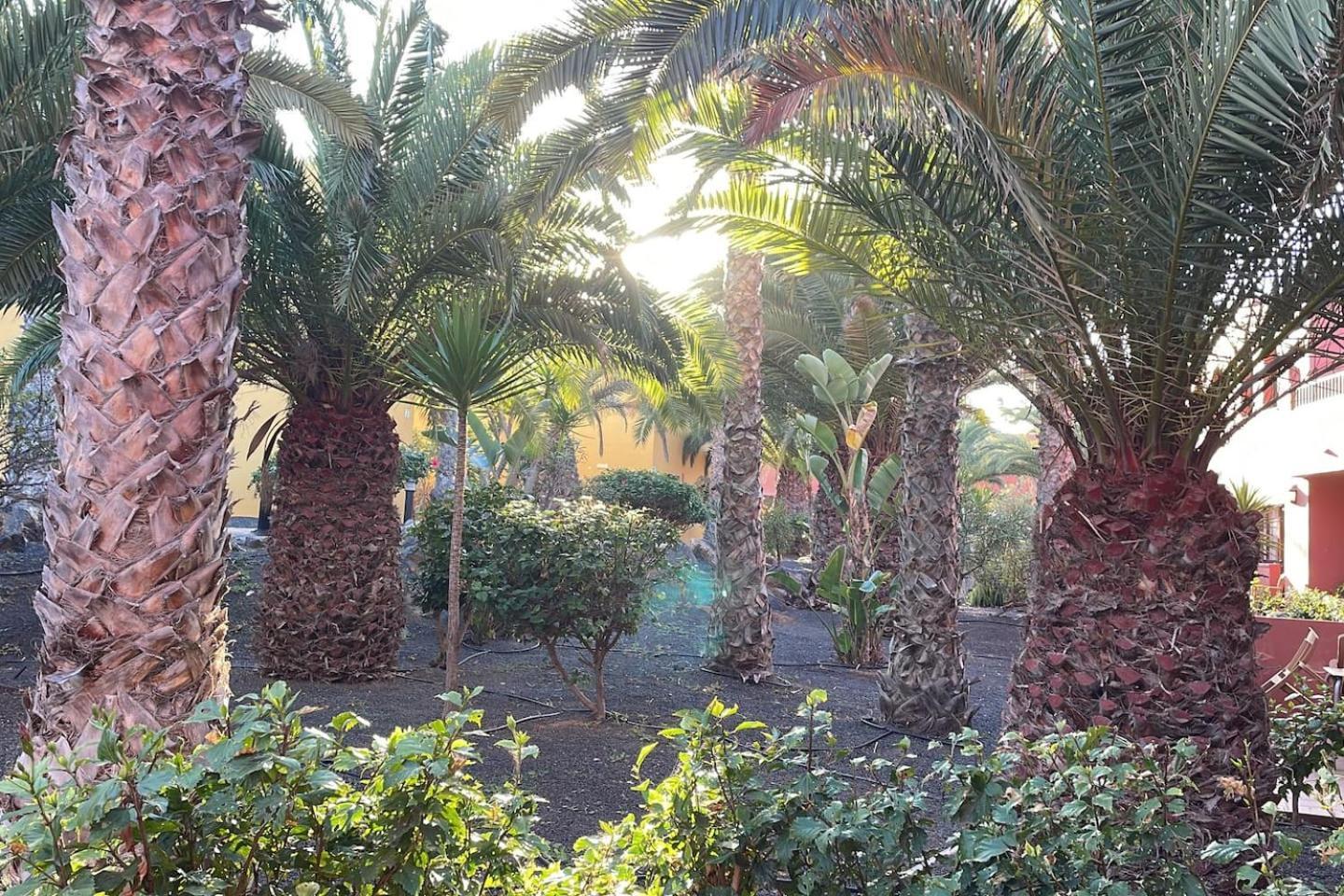 Sun & Sea Apartment In קורלחו מראה חיצוני תמונה